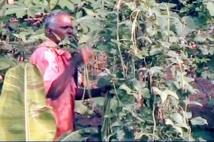 കാര്ഷിക വൃത്തിയിലൂടെ ശ്രദ്ധേയനാകുന്നു…
