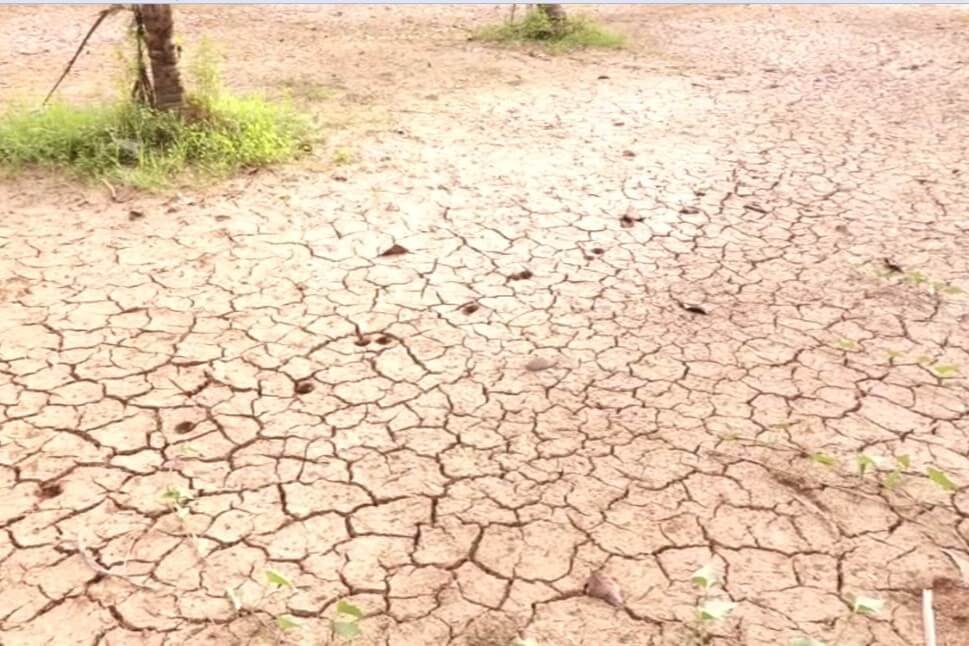 പ്രളയത്തിന് ശേഷം വരൾച്ച