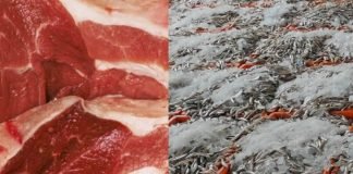 കൊല്ലം ജില്ലയിൽ ഇറച്ചി, മത്സ്യം വില പുനക്രമീകരിച്ചു; അധിക വില ഈടാക്കിയാൽ നടപടി