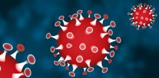 Covid in Kollam August 13