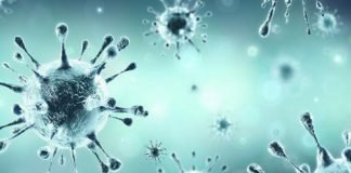 കൊല്ലം ജില്ലയിൽ ഇന്ന്(23.08.20) കോവിഡ് 133; സമ്പർക്കം 122