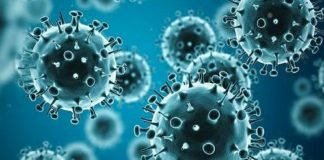 കൊല്ലം ജില്ലയിൽ ഇന്ന് (4.09.20) കോവിഡ് 248; സമ്പർക്കം 241