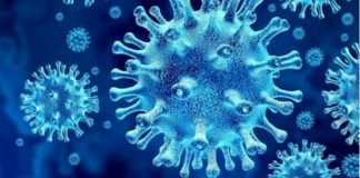 കൊല്ലം ജില്ലയിൽ ഇന്ന് (10.09.20) കോവിഡ് 244; സമ്പർക്കം 232