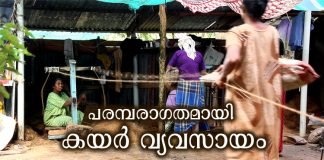 Traditional coir industry