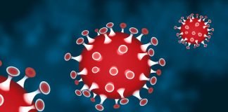 കൊല്ലം ജില്ലയിൽ 3.10.20ലെ കോവിഡ് 534; സമ്പർക്കം 531