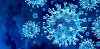 കൊല്ലം ജില്ലയിൽ 8.10.20ലെ കോവിഡ് 497; സമ്പർക്കം 477