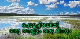 Mission oru nellum oru meenum