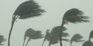 ‘ബുറെവി’ കേരളത്തില് എത്തും; നെയ്യാറ്റിന്കരയില് ചുഴലിക്കാറ്റിന് സാദ്ധ്യത 'ബുറെവി' കേരളത്തില് എത്തും; ്നെയ്യാറ്റിന്കരയില് ചുഴലിക്കാറ്റിന് സാദ്ധ്യത