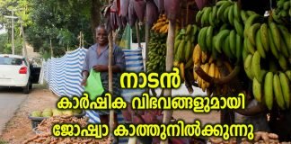 നാടൻ കാർഷിക വിഭവങ്ങളുമായി ജോഷ്വാ കാത്ത് നില്ക്കുന്നു