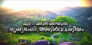 മുട്ടറ മരുതി മലയുടെ ദൃശ്യ ഭംഗി നയന മനോഹരവും വർണ്ണനാധീതവും