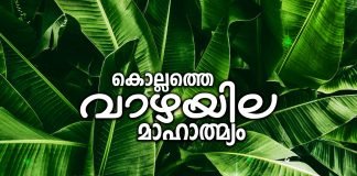കൊല്ലത്തെ വാഴയില മാഹാത്മ്യം