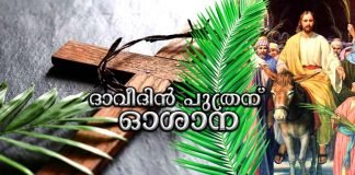 ഓശാന ഞായറന്റെ വിശുദ്ധി