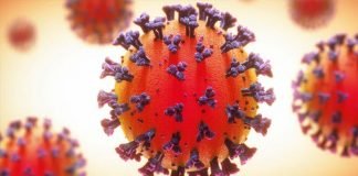 കൊല്ലം ജില്ലയിൽ ഇന്ന് 282 പേർക്ക് കോവിഡ്