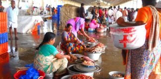 ഹാർബറുകൾക്ക് 25 വരെ പ്രവർത്തനാനുമതി; ഉപഭോക്താക്കൾക്ക് നേരിട്ട് മീൻ വാങ്ങാൻ അനുമതിയില്ല