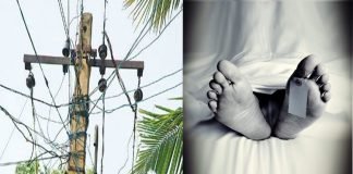 മാനന്തവാടിയില് യുവാവ് ഷോക്കറ്റ് മരിച്ചു യുവാവ് ഷോക്കറ്റ് മരിച്ചു