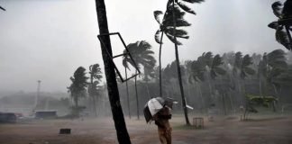 യെല്ലോ അലെർട് ; കേരളത്തിലെ 11 ജില്ലകളിൽ യെല്ലോ അലെർട്