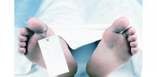 അച്ചന്കോവിലാറ്റില് മൃതദേഹം കണ്ടെത്തിയ സംഭവം; വാഹനം ഇടിച്ചാണ് മരണമെന്ന് സ്ഥിരീകരിച്ചു അച്ചന്കോവിലാറ്റില് മൃതദേഹം