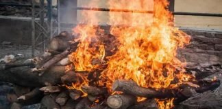 ഒരു മകന്റെ സംസ്കാരച്ചടങ്ങുകൾ നടക്കുന്നതിനിടയിൽ രണ്ടാമത്തെ മകനും മരിച്ചു