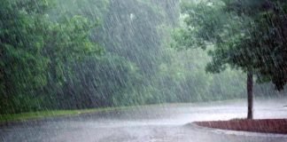 ശക്തമായ മഴയ്‌ക്ക് സാധ്യത