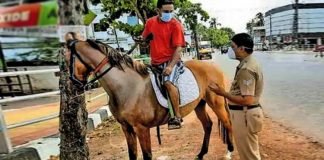 ട്രിപ്പിള് ലോക്ക്ഡൗണിൽ കുതിര സവാരി ; യുവാവിന് എട്ടിന്റെ പണി ട്രിപ്പിള് ലോക്ക്ഡൗണിൽ കുതിര സവാരി