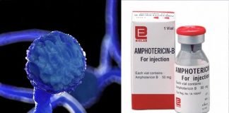 ബ്ലാക്ക് ഫംഗസ് ; കേരളത്തിൽ മരുന്നെത്തി ബ്ലാക്ക് ഫംഗസ്