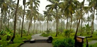 കനത്ത മഴയ്ക്ക് സാധ്യത