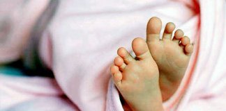 രണ്ടര വയസുകാരി പാമ്പ് കടിയേറ്റ് മരിച്ചു