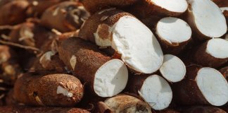 ഹോർട്ടികോർപ്പിന്റെ 'വാട്ടു കപ്പ