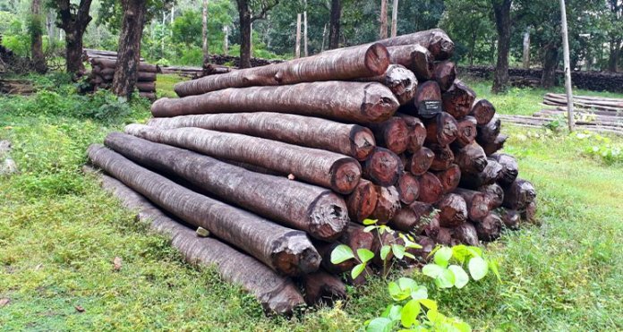 മരംവെട്ടി കടത്തിയ സംഭവത്തിൽ സിപിഐ നേതാവുൾപ്പടെ മൂന്ന് പേർക്കെതിരെ കേസെടുത്തു