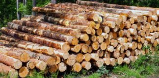 പോലീസ് പരിശോധന ഊര്‍ജിതമാക്കി