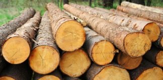 ഹൈക്കോടതി നിരസിച്ചു