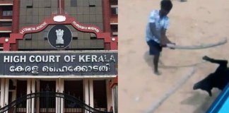 നായയെ തല്ലിക്കൊന്ന സംഭവം