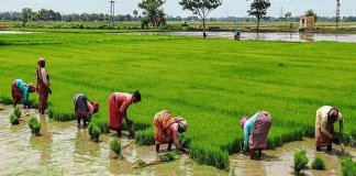 അപേക്ഷകൾ ക്ഷണിച്ചു