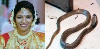 വനംവകുപ്പ് കുറ്റപത്രം വനം കോടതിയില്‍ സമര്‍പ്പിച്ചു