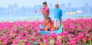 മലരിക്കല്‍ ആമ്പല്‍ ഫെസ്റ്റ് നിര്‍ത്തി വച്ചു