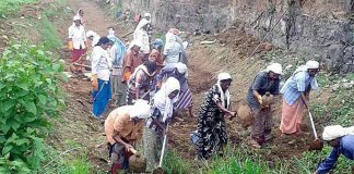 ഒരുകോടി തൊഴിൽ ദിനങ്ങളുമായി കേരളം