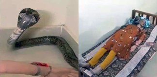 ഉത്ര കൊലക്കേസ്