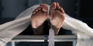 ഇടുക്കി തൊട്ടിക്കാനത്ത് കടയുടമ ആത്മഹത്യ ചെയ്തു