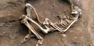 പൊളിച്ചു കൊണ്ടിരുന്ന വീടിനുള്ളിൽ മനുഷ്യന്‍റെ അസ്ഥികൂടം