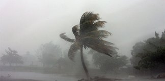 സംസ്ഥാനത്ത് കനത്ത മഴയ്ക്ക് സാധ്യത