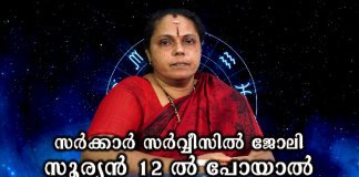 സർക്കാർ സർവ്വീസിൽ ജോലി