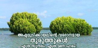 അഷ്ടമുടിക്കായലിലെ തുരുത്തുകൾ