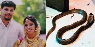 ഉത്രയുടെ കൊലപാതകo ; വിധി ഇന്ന് ഉത്രയുടെ കൊലപാതകo ; വിധി ഇന്ന്