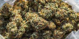 ചാലക്കുടിയില്‍ 180 കിലോ കഞ്ചാവ് പിടികൂടി