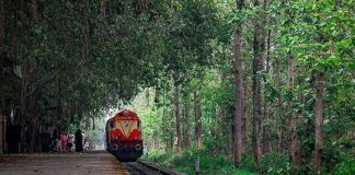 ഷൊര്‍ണൂര്‍ - നിലമ്പൂര്‍ പാതയില്‍ ട്രെയിന്‍ പുനരാരംഭിച്ചു