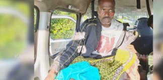 കാട്ടാനയുടെ ആക്രമണത്തില്‍ ഒരാള്‍ക്ക് പരിക്ക് ; കൃഷി സ്ഥലത്ത് നിന്ന് ആനയെ ഓടിക്കുമ്പോൾ