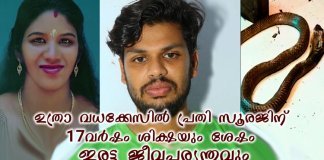 ഉത്രാ വധക്കേസിൽ പ്രതി സൂരജിന് 17 വർഷം ശിക്ഷയും ശേഷം ഇരട്ട ജീവപര്യന്തവും; കൃത്യം അപൂർവ്വങ്ങളിൽ അപൂർവ്വം