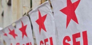 രാഷ്ട്രീയം പഠിപ്പിക്കാൻ വരേണ്ടാ; സിപിഐയോട് എസ്എഫ്ഐ രാഷ്ട്രീയം പഠിപ്പിക്കാൻ വരേണ്ടാ