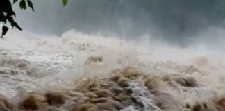 കോഴിക്കോടും പാലക്കാടും മഴക്കെടുതി; യുവാക്കൾ പുഴയില് കുടുങ്ങി കോഴിക്കോടും പാലക്കാടും മഴക്കെടുതി