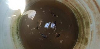 രക്ഷിതാക്കളെ ഞെട്ടിച്ച് വാട്ടര്‍ ടാങ്ക്